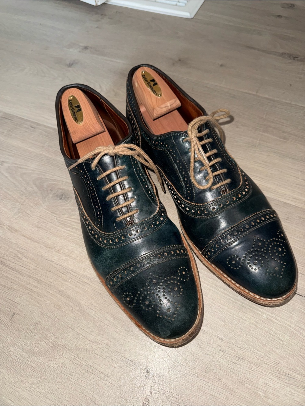 Men’s Allen Edmonds Navy shell cordovan Strand